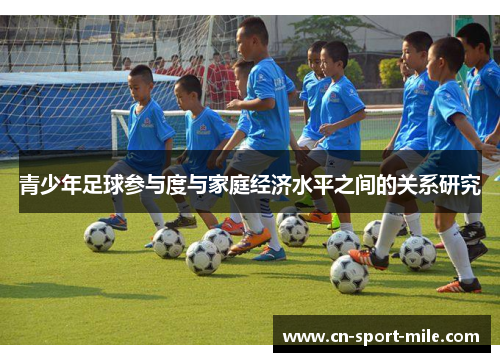 青少年足球参与度与家庭经济水平之间的关系研究