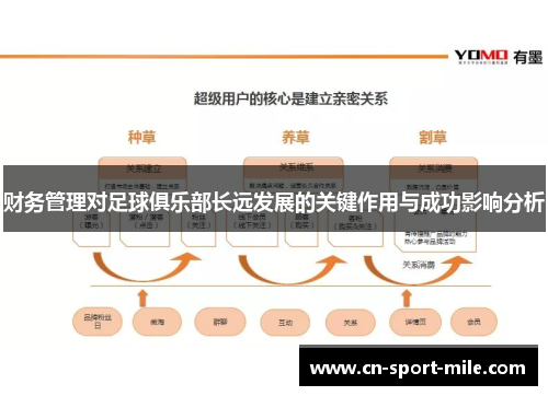 财务管理对足球俱乐部长远发展的关键作用与成功影响分析