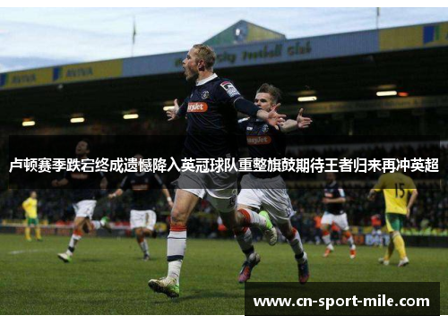 卢顿赛季跌宕终成遗憾降入英冠球队重整旗鼓期待王者归来再冲英超