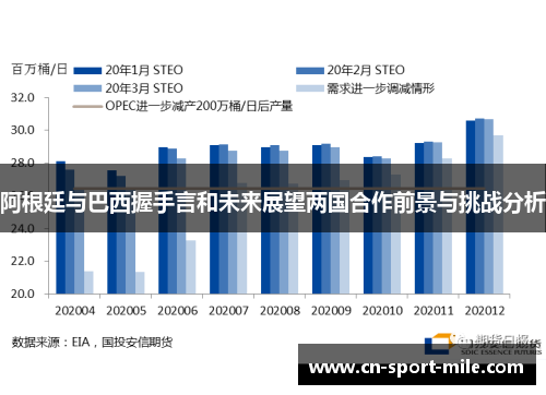 阿根廷与巴西握手言和未来展望两国合作前景与挑战分析